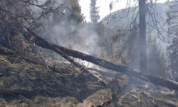 Өрт өчүрүүчүлөр Чоң-Кемин өрөөнүнүн Көк-Жар токойунан чыккан тилсиз жоо менен күрөшүүдө 