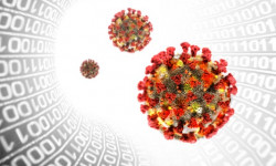 COVID-19: Эки бейтап каза болуп, 104 адамдан илдет жаңы аныкталды