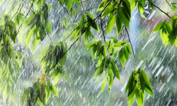 Аба ырайы кескин өзгөрүлүп, 10-11-сентябрда өлкөнүн көпчүлүк аймактарында жаан жаайт