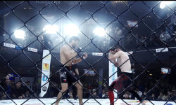 Москвада аралаш мушташ боюнча мелдеш өттү