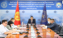 Чет өлкөдөгү мекендештер менен баарлашуу