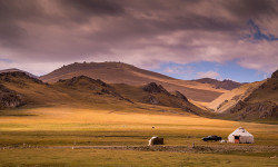 "Орёл и решка" Кыргызстан тууралуу 