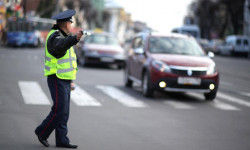 Мас абалда унаа башкаргандар