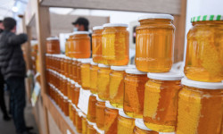 Балдын экспорту көбөйдү