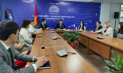 Мүмкүнчүлүгү чектелген жарандарга сайттардын жеткиликтүүлүгүн камсыздоо боюнча иш-чара өттү 