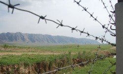 Кыргыз-өзбек чек арасында кырдаал туруктуу