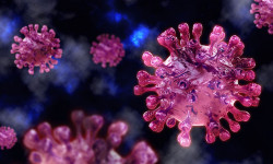 COVID-19 боюнча статистика: Республикада коронавирус жуктургандардын саны азаюуда