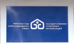 Камсыздандыруу - кенемте алуунун кепилдиги 