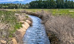 Сугат сууну үнөмдөп, түшүмдү арттыруу зарыл