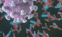 Коронавирус: Кыргызстанда 27-сентябрга карата 59 жаңы учуру катталды