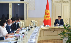 «Жашыл» экономиканы өнүктүрүү боюнча координациялык кеңеш УДАС долбоорун жактырды