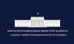 Мамлекетке кайтарылган радиожыштыктарды сатуу өлкөгө 1 млрд сомдон ашуун киреше алып келди