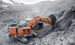 Кумтөрдү сабырдуулук менен кайтаруу керек