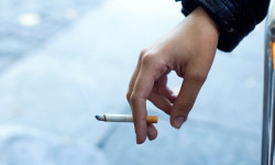 Президенттин жарлыгына ылайык, чылым жана кальян чегүүгө тыюу салынган жайлардын тизмеси 