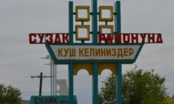 Сузакта сегиз адам күйдүргү оорусуна шектелип ооруканага түштү