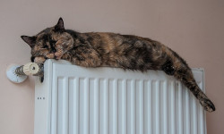 Бүгүнкү күндө Бишкекте жылуулук өз ирети менен берилүүдө