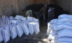 Бишкекте акыркы күндөрү көмүрдүн баасы көтөрүлүп кетти