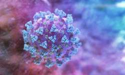 Кыргызстанда 8-октябрга карата коронавирус 84 адамдан аныкталды