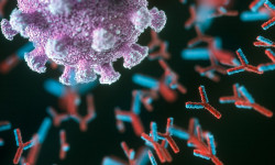 COVID-19: 2021-жылдын 4-октябрынан 8-октябрга чейинки статистика