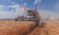 Лизингге айыл чарба техникаларын алууга насыя берилет