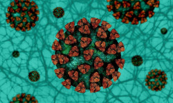 Коронавирустан эки бейтап көз жумду