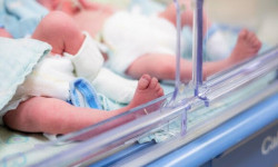 Чүйдө үч эм төрөлдү