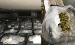 Баткенде бир жумада 40 тоннадай мыйзамсыз ташылып келген жүзүм аныкталды  