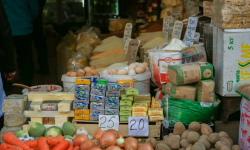 Пандемия шартында азык-түлүк коопсуздугун камсыздоо багытында илимий конференция өттү     