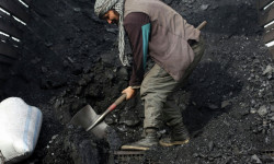 Монополияга каршы жөнгө салуу агенттиги көмүрдүн наркын бекитти