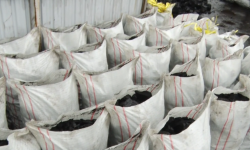 Көмүрдү белгиленген баадан жогорулатып саткандар аныкталууда