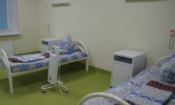 Балдар арасында сасык тумоо күчөп, кошумча стационарлар даярдалууда