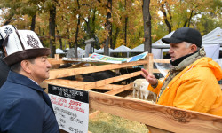 "Агро Тех Экспо": Өлкөдө таза кандуу асыл тукум малдардын саны өстү