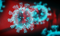 Коронавирустан үч бейтап көз жумду