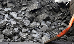 Көмүрдүн наркы, кышка камылга