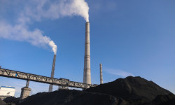 Көмүрдүн баасын көтөргөн сатуучуларга карата чара көрүлөт - Тайлаков