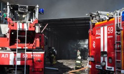 Каза болгондордун көпчүлүгү жакын арада мекенине кайтышмак