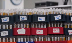 Кыргызстанга Pfizer жана Sinofarm вакциналары келди    