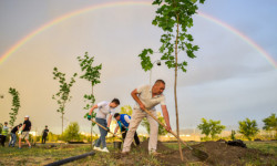 Бишкектеги “Ынтымак” сейил багында 500дөн ашуун бак-дарактын көчөтү отургузулду