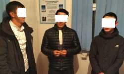 ИИМ: 18 жаштагы кызды ала качкан 3 жигит кармалды 