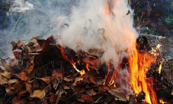 Керексиз буюмдарды өрттөбөңүз. Түтүн менен бөлүнүп чыккан заттар ден соолукка зыян 