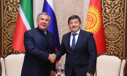 Кыргыз - татар биргелешкен долбоорлор ишке ашат