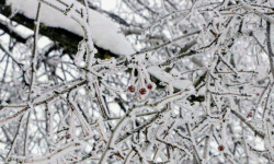 Шашылыш билдирүү! 26-27-ноябрда түнкүсүн туруксуз аба-ырайы күтүлөт