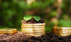 Кыргызстанда дыйкандар менен фермерлер жер салыгынан бошотулат