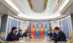 Акылбек Жапаров Казакстан Республикасынын биринчи Президенти Нурсултан Назарбаев менен жолугушту