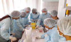 COVID-19: Кыргызстанда 12-декабрга карата коронавирус дагы 34 адамдан аныкталды