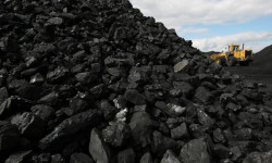 Көмүр баасы 6% арзандады