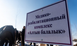 "Алтын балалык" комплексинин аймагына көчөттөр отургузулду
