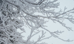 Шашылыш билдирүү! Өлкөдө 26-27-декабрь күндөрү туруксуз аба ырайы күтүлөт