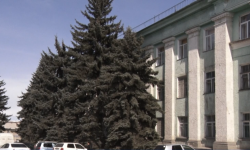 Каракол шаары КМШ өлкөлөрүнүн маданий борбору катары расмий жарыяланды