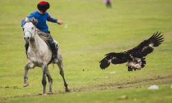 Кырчын жайлоосундагы кызыктар